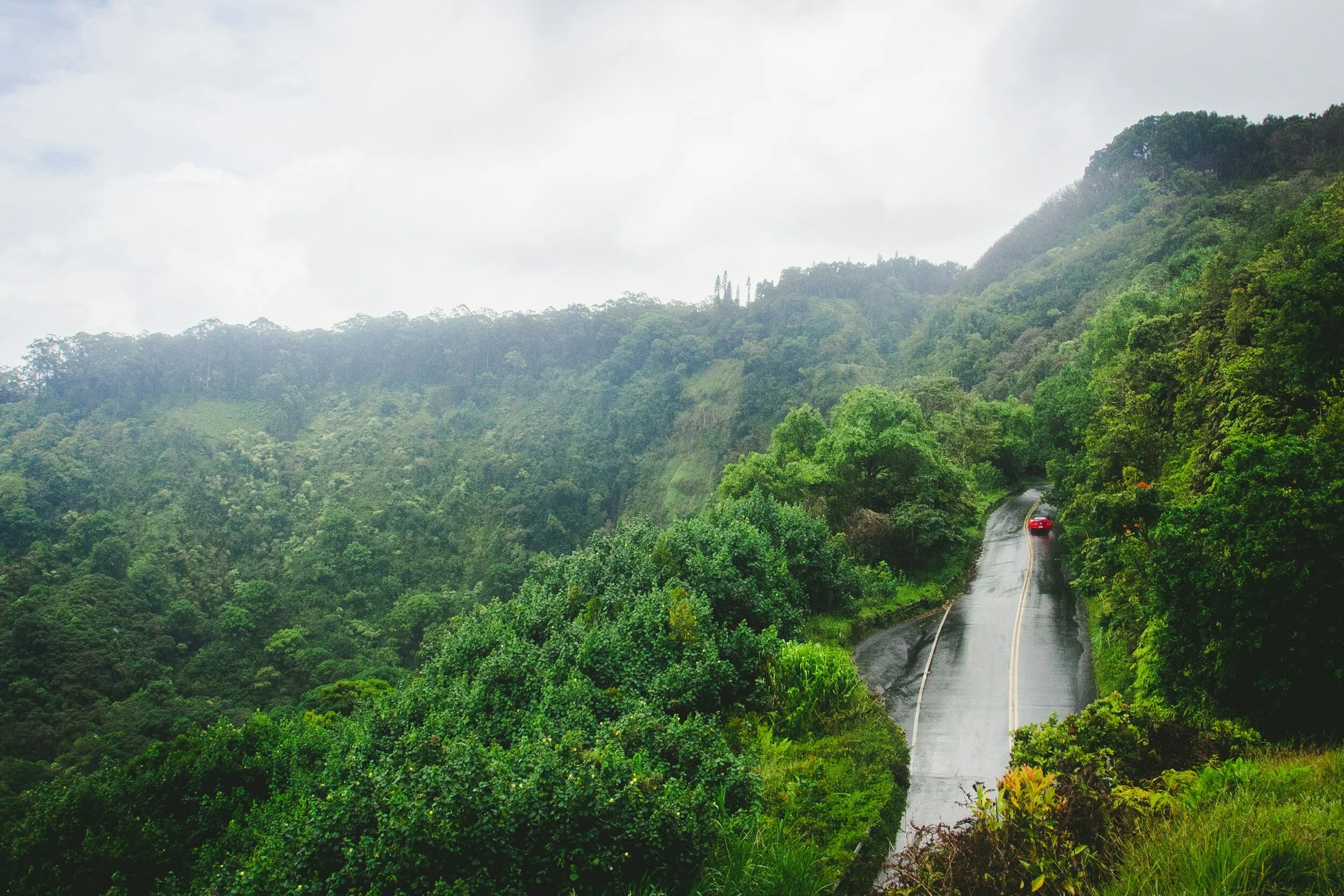 Winding road conditions along Hana Highway
