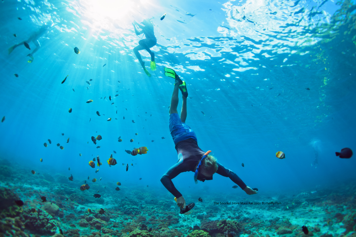 Tropical ocean waters and coastal views