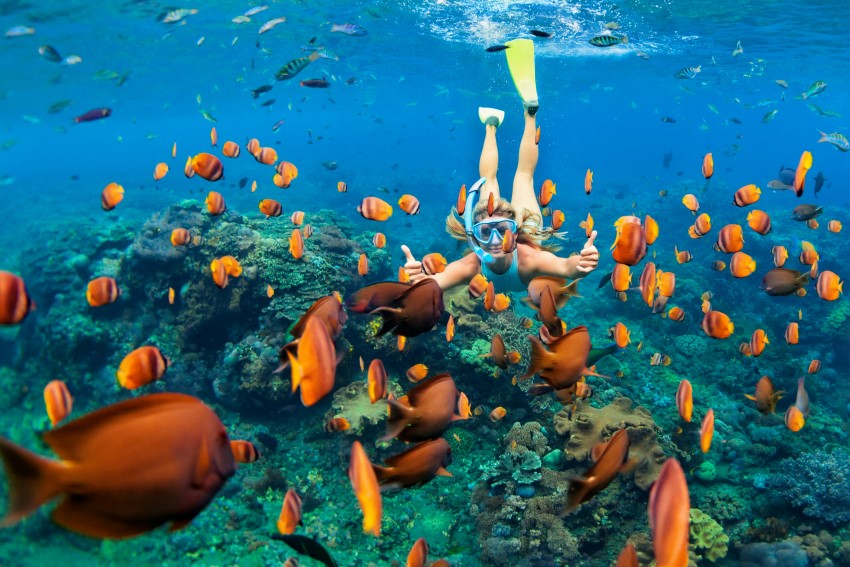 Scenic tropical shorelines in Maui