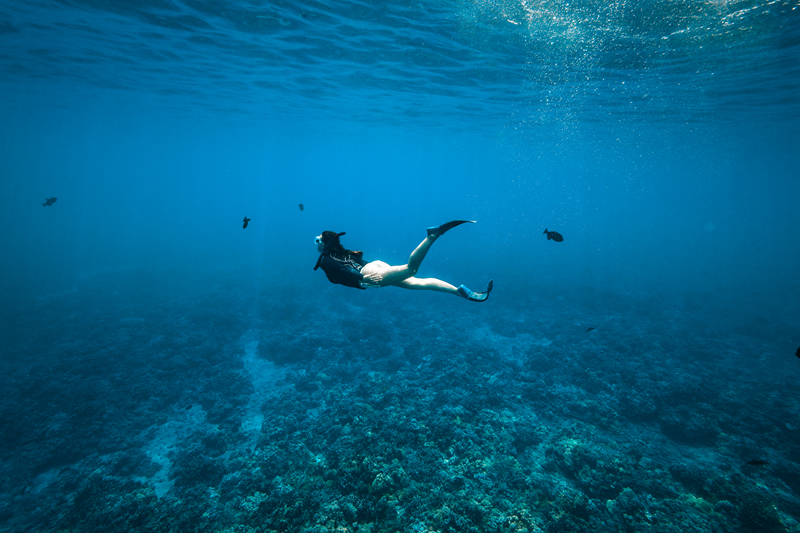 Sunny day over Maui waters